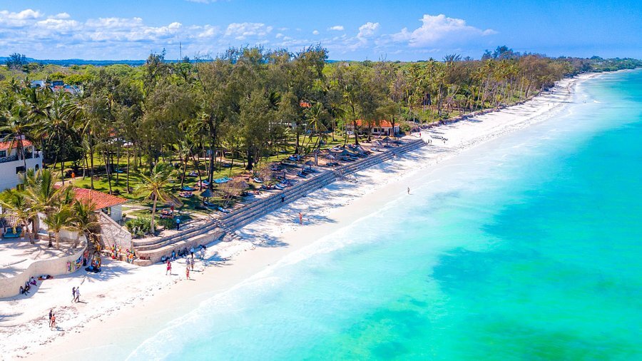 White sand beach with palm trees at Diani