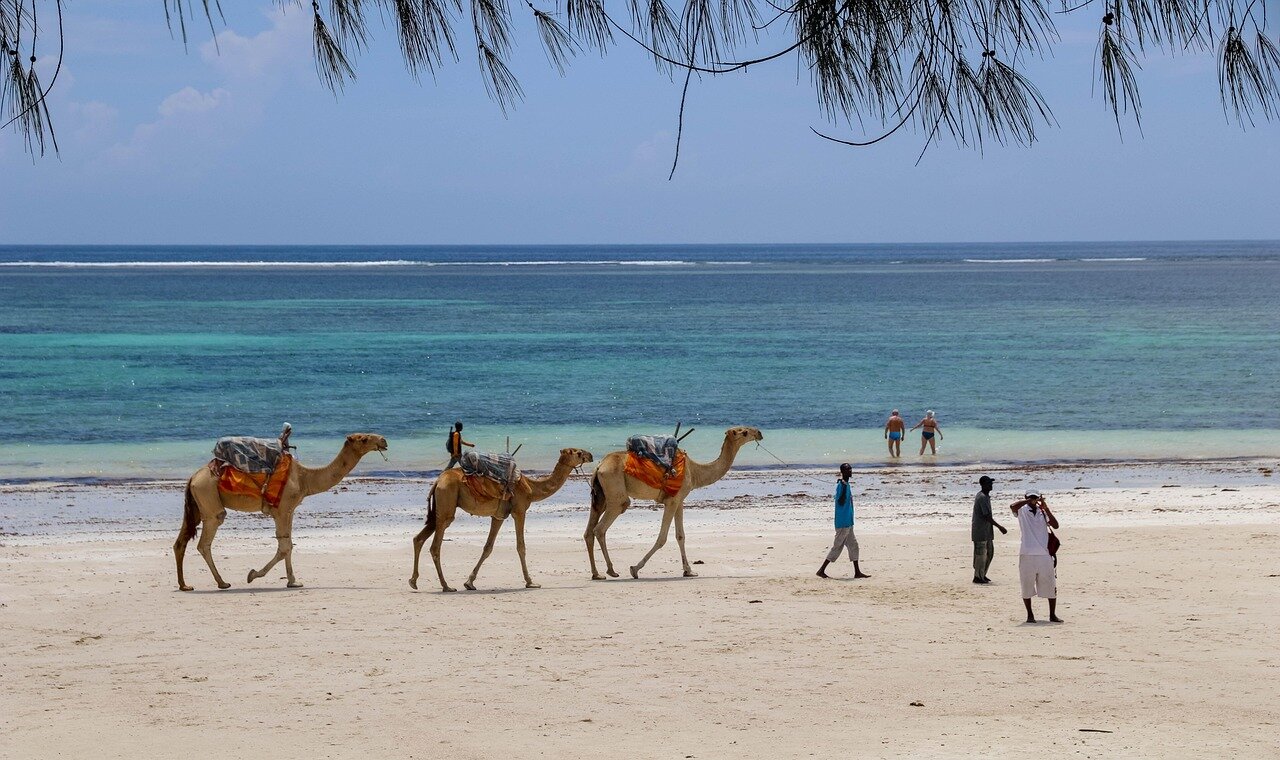 Snorkeling and diving at Diani coral reefs